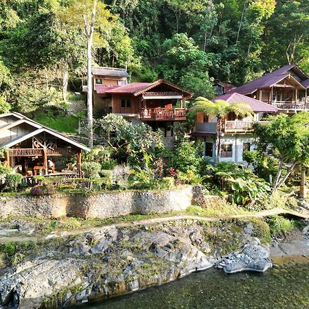 Kupu Kupu Garden Guest House & Cafe Bukit Lawang Ngoại thất bức ảnh