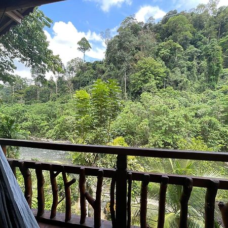Kupu Kupu Garden Guest House & Cafe Bukit Lawang Ngoại thất bức ảnh