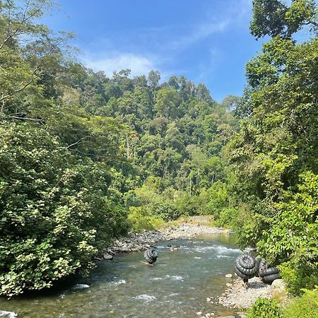 Kupu Kupu Garden Guest House & Cafe Bukit Lawang Ngoại thất bức ảnh