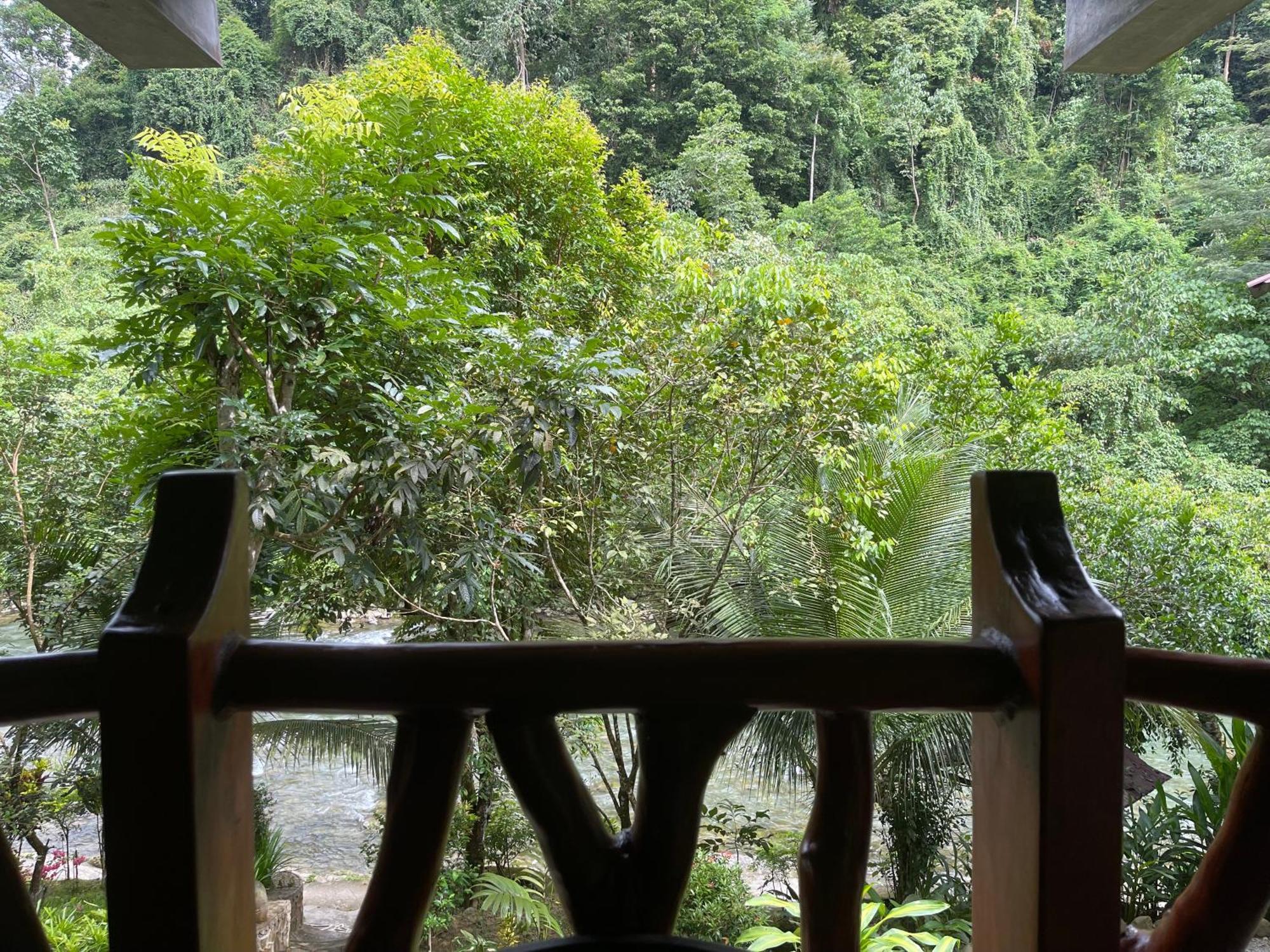 Kupu Kupu Garden Guest House & Cafe Bukit Lawang Ngoại thất bức ảnh