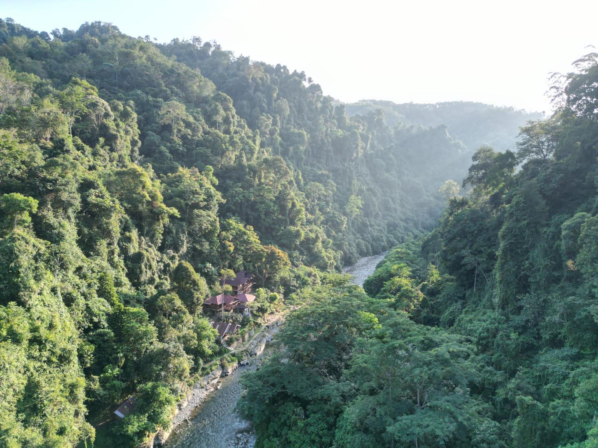 Kupu Kupu Garden Guest House & Cafe Bukit Lawang Ngoại thất bức ảnh