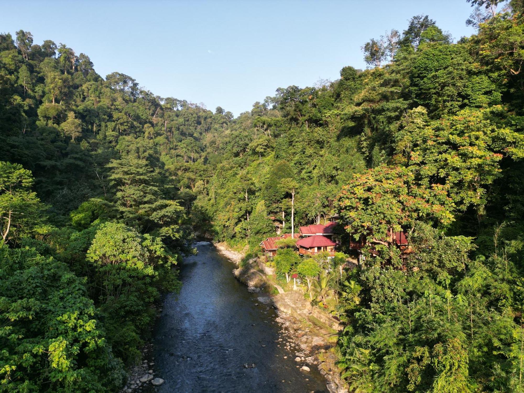 Kupu Kupu Garden Guest House & Cafe Bukit Lawang Ngoại thất bức ảnh