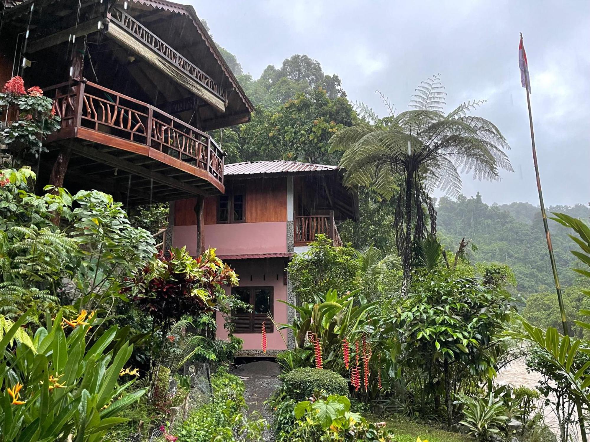 Kupu Kupu Garden Guest House & Cafe Bukit Lawang Ngoại thất bức ảnh