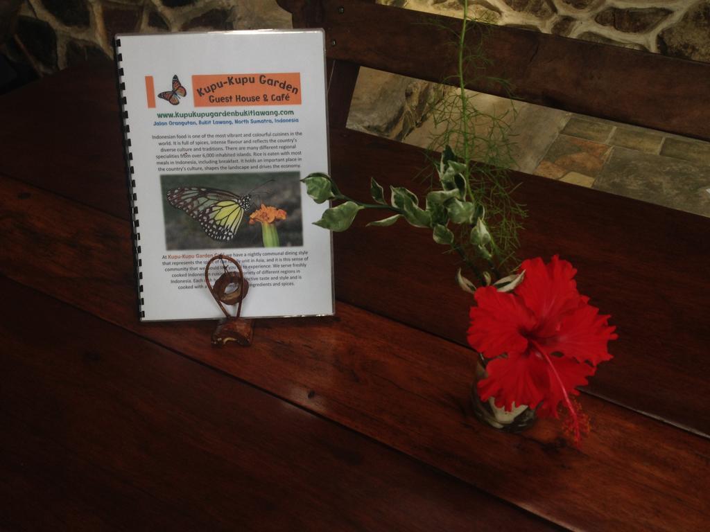 Kupu Kupu Garden Guest House & Cafe Bukit Lawang Ngoại thất bức ảnh