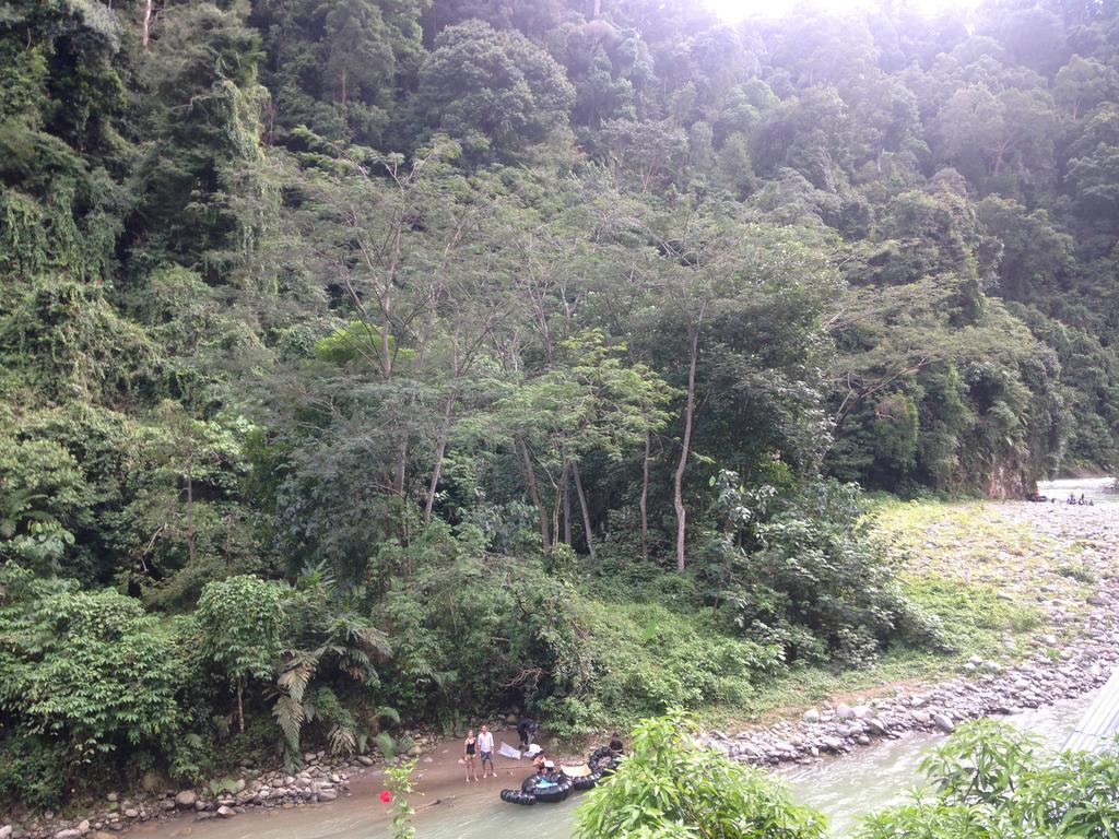 Kupu Kupu Garden Guest House & Cafe Bukit Lawang Ngoại thất bức ảnh