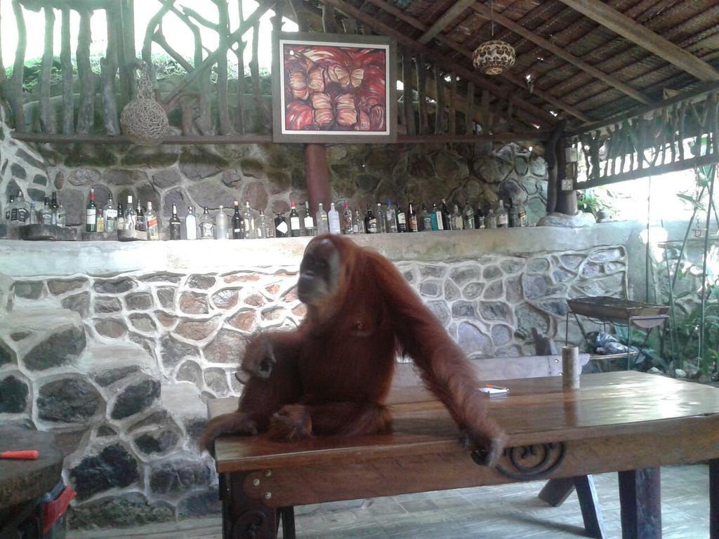 Kupu Kupu Garden Guest House & Cafe Bukit Lawang Ngoại thất bức ảnh