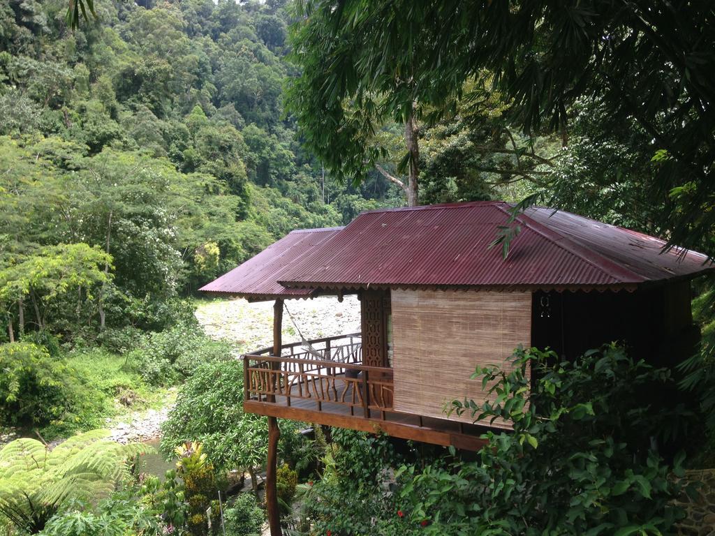 Kupu Kupu Garden Guest House & Cafe Bukit Lawang Ngoại thất bức ảnh
