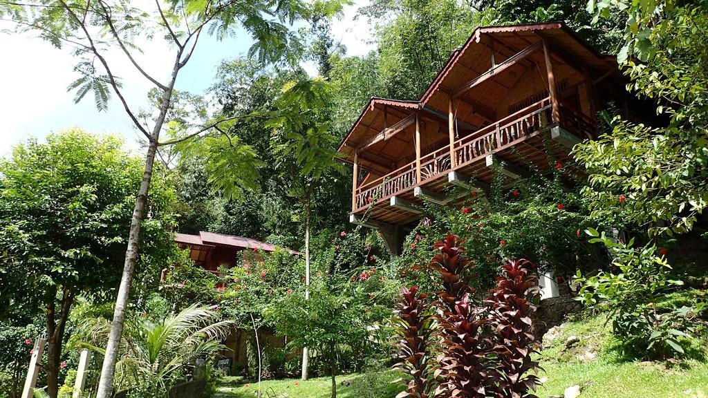Kupu Kupu Garden Guest House & Cafe Bukit Lawang Ngoại thất bức ảnh