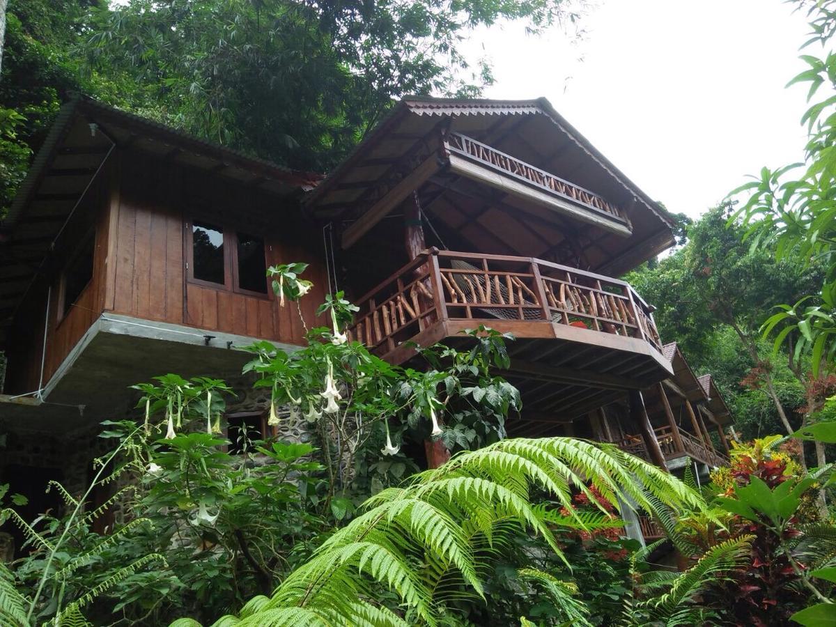 Kupu Kupu Garden Guest House & Cafe Bukit Lawang Ngoại thất bức ảnh