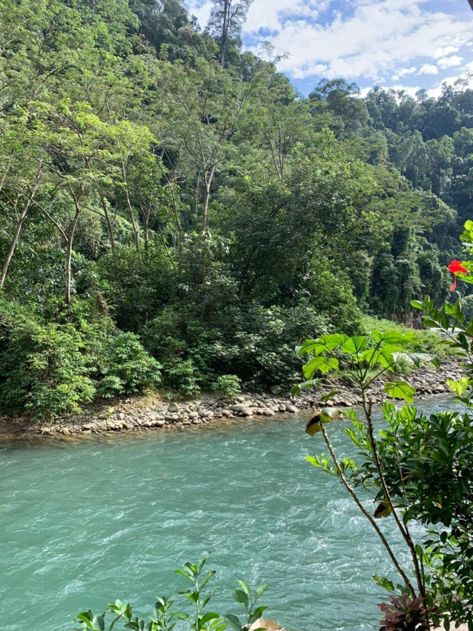 Kupu Kupu Garden Guest House & Cafe Bukit Lawang Ngoại thất bức ảnh