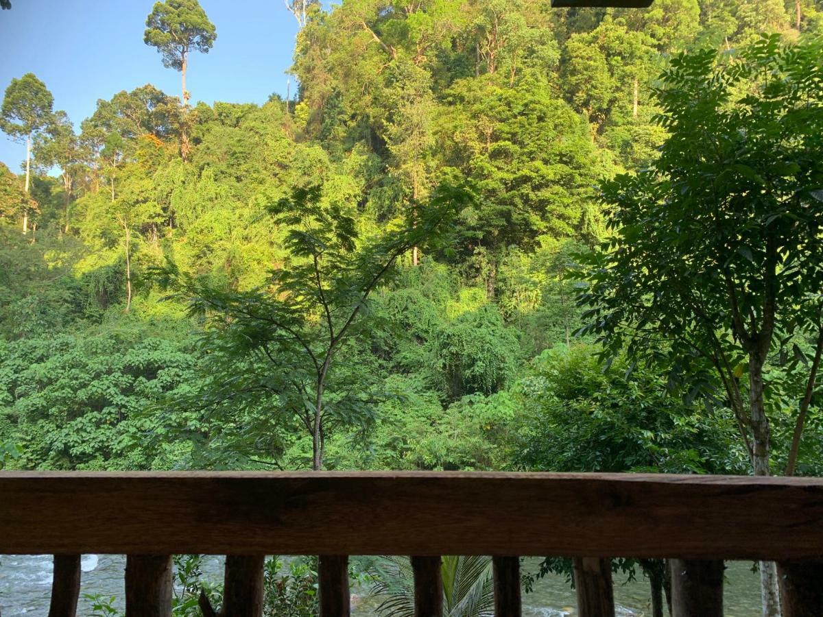 Kupu Kupu Garden Guest House & Cafe Bukit Lawang Ngoại thất bức ảnh