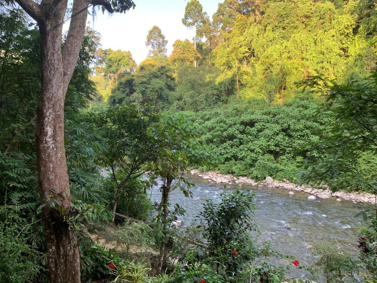 Kupu Kupu Garden Guest House & Cafe Bukit Lawang Ngoại thất bức ảnh