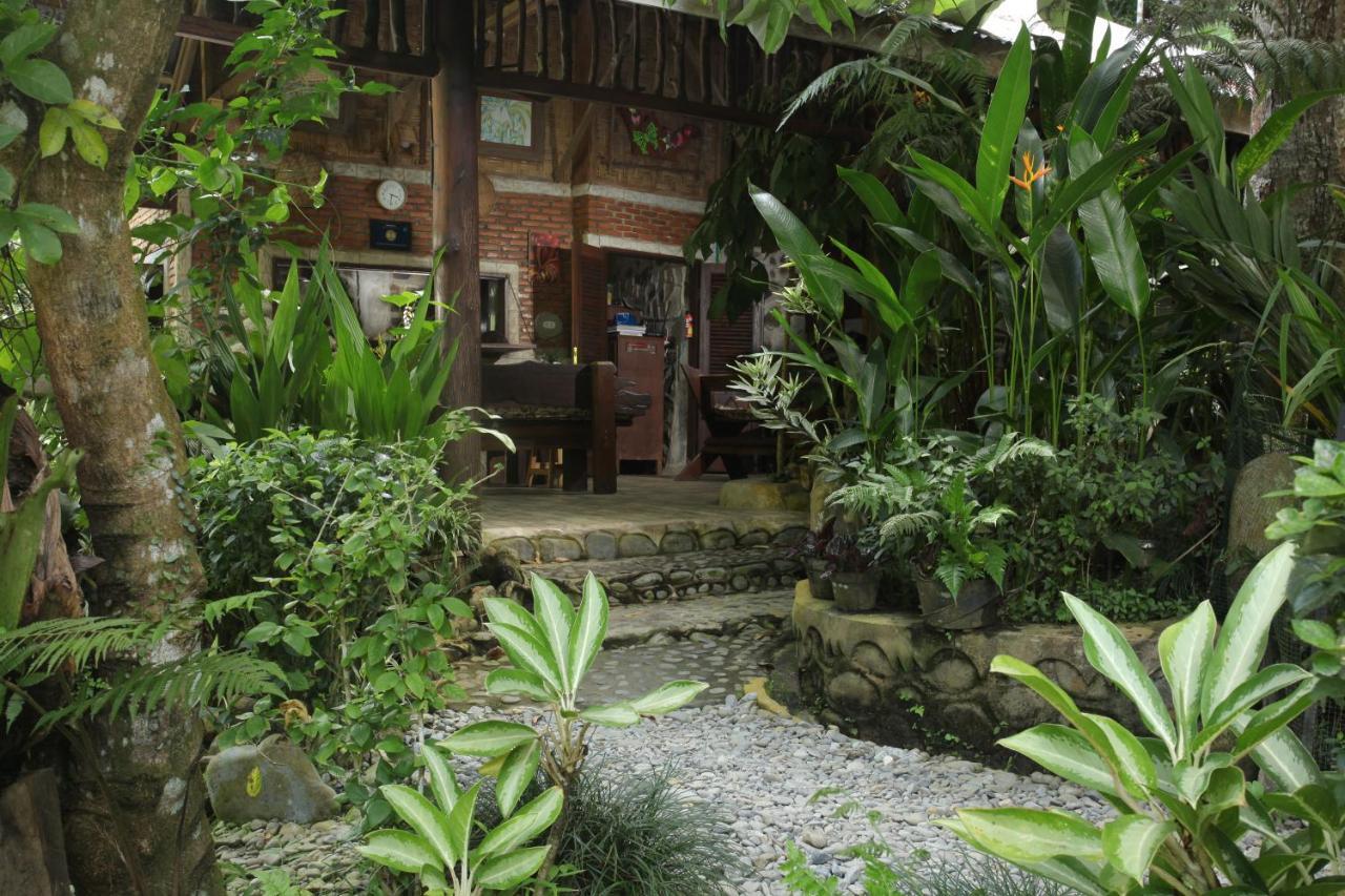 Kupu Kupu Garden Guest House & Cafe Bukit Lawang Ngoại thất bức ảnh